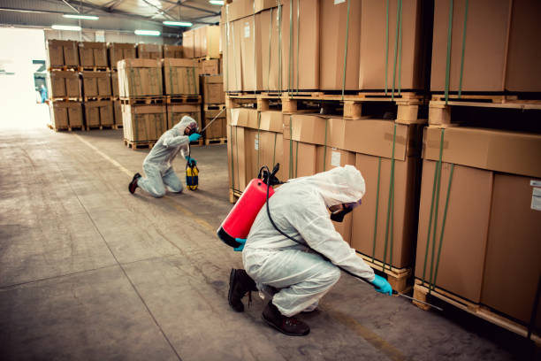 Best Best Pest Control Companies  in Carbondale, IL