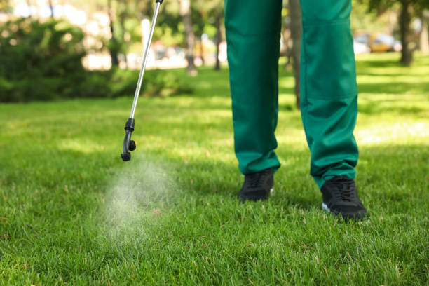Best Termite Control Services  in Carbondale, IL