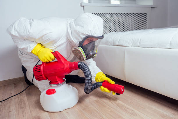Best Affordable Pest Control Services  in Carbondale, IL