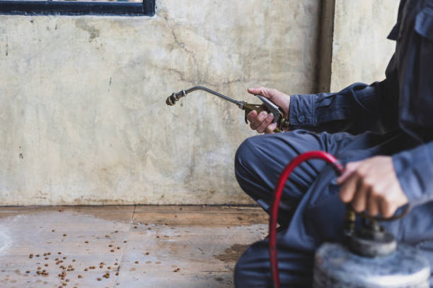Best Residential Pest Control  in Carbondale, IL